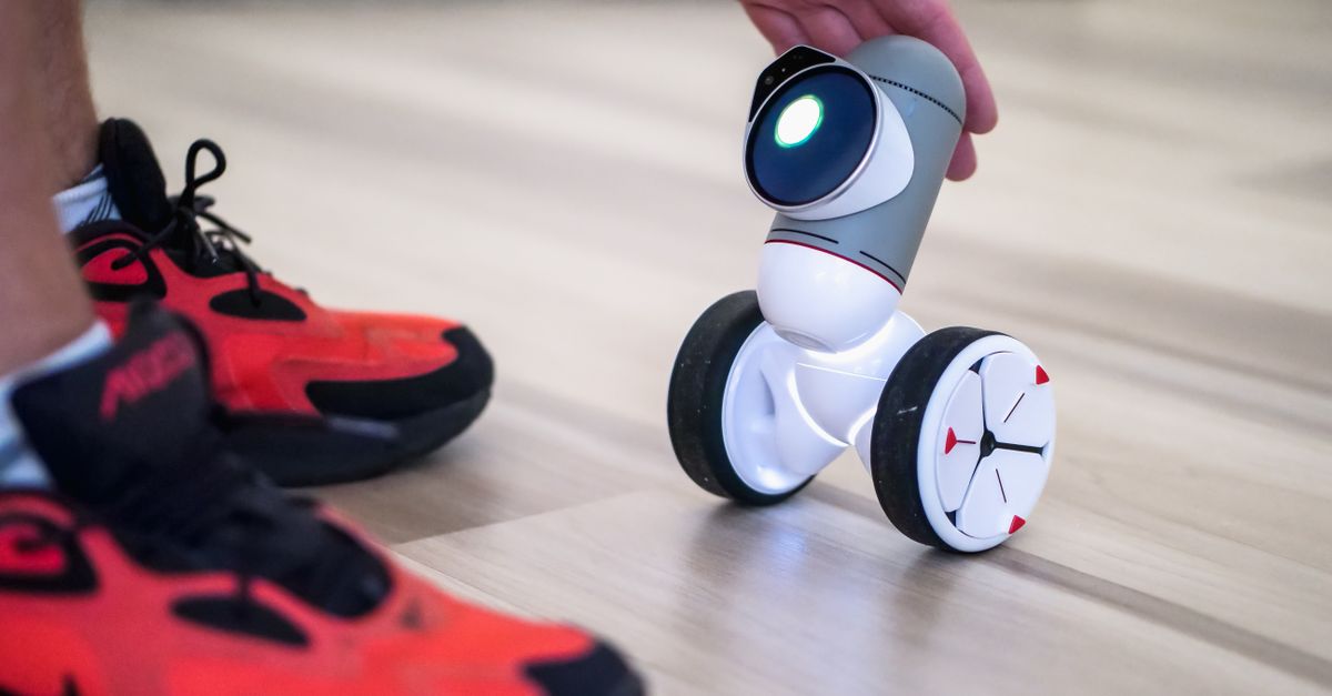 Best First Robot Toys for Curious Kids